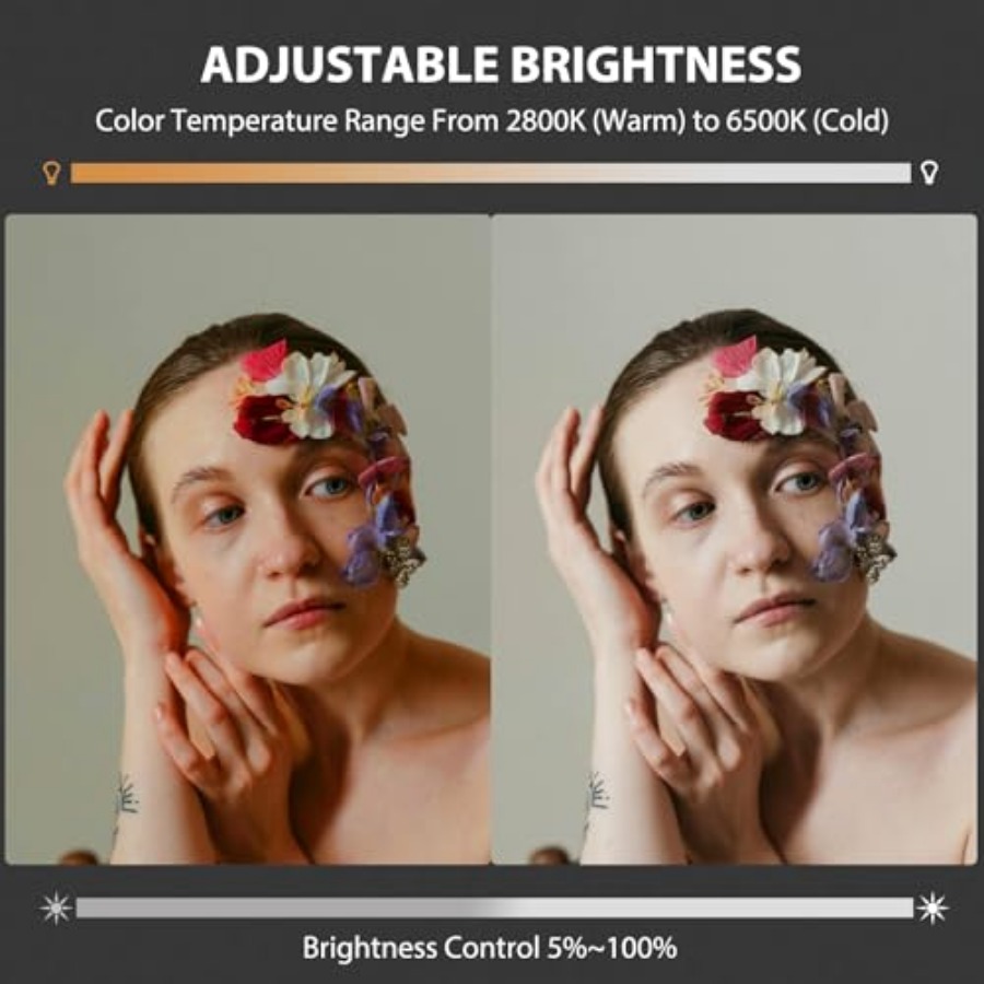 60W COB LED-Videoleuchte, trag – Photography Lighting Spotlight Bewertung und Preis